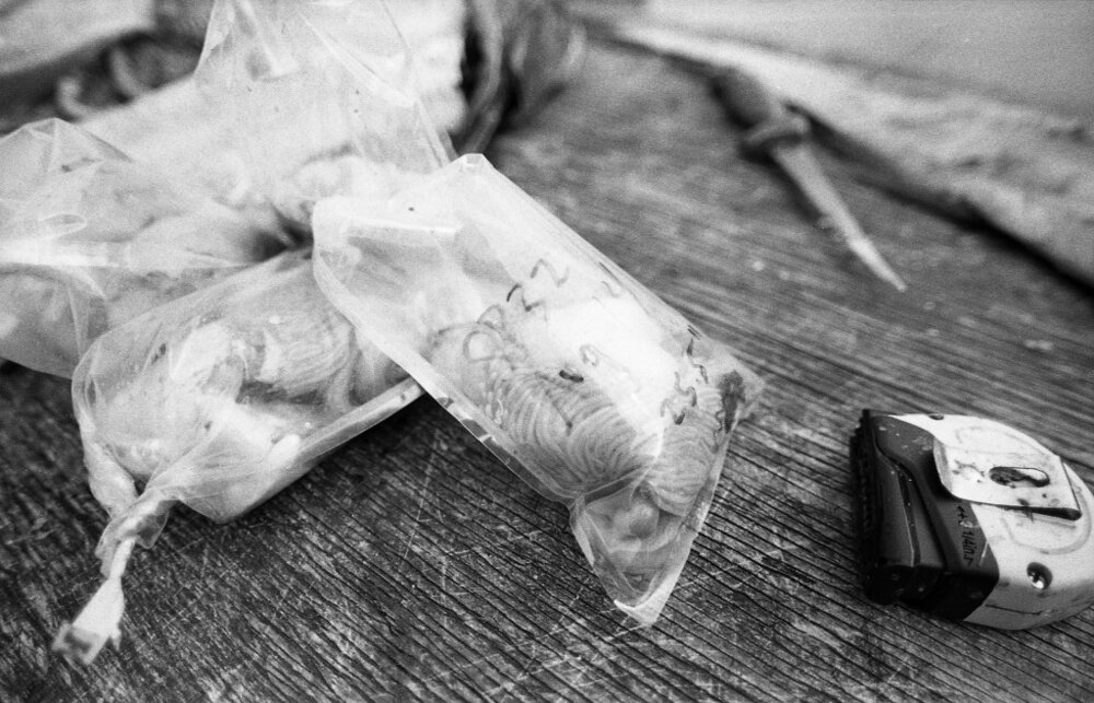 All tools for knowledge perceive some things and not others. They are always partial. Photo by Bojan Furst.