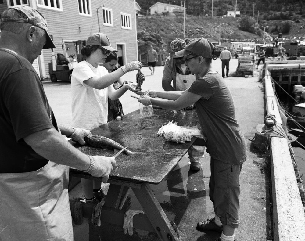 Photo of scientific sample collection happening on a busy wharf. Scientists are surrounded by local knowers. Photo by Bojan Furst.